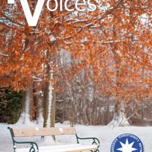 December 2019 Progressive Voices