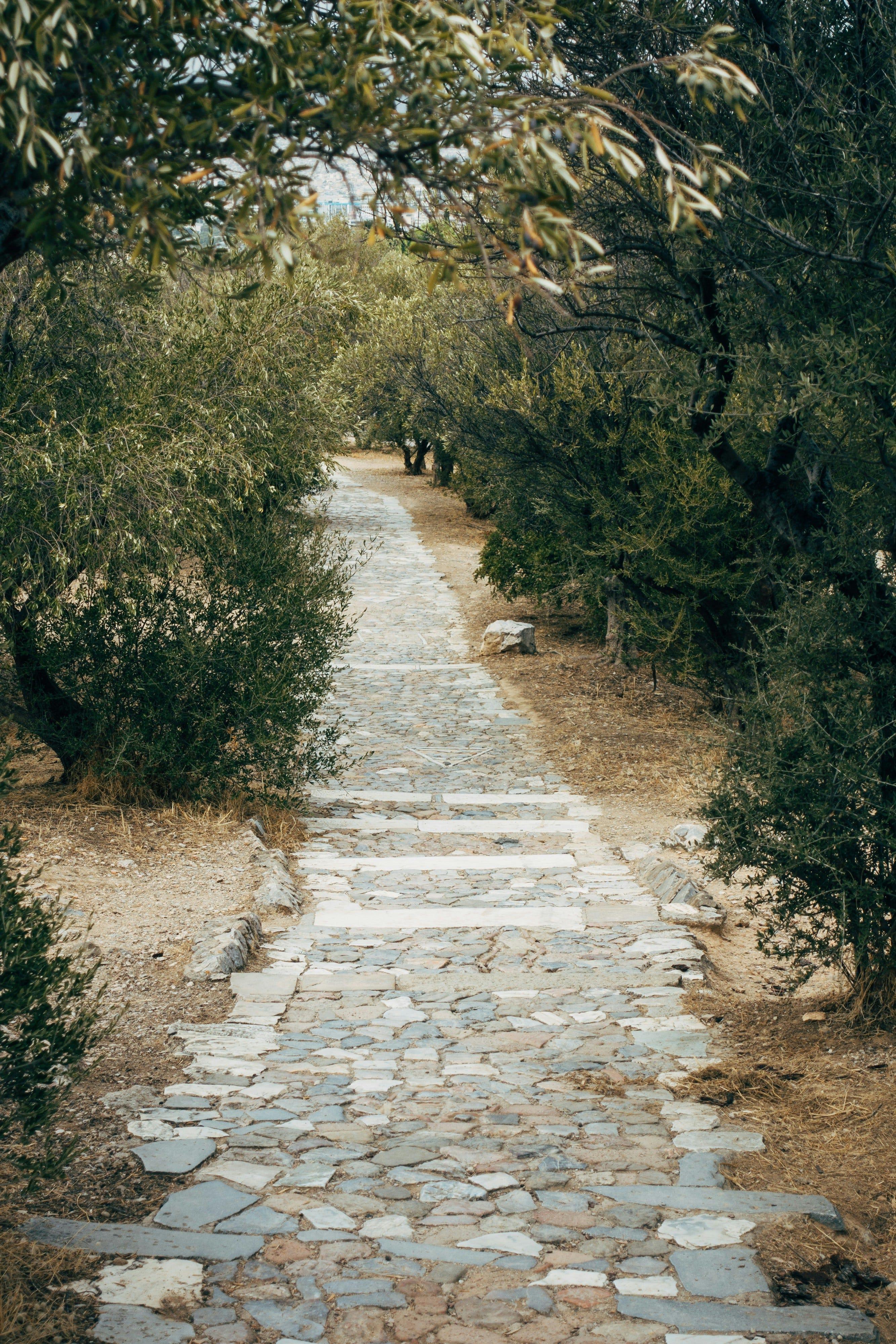 Progressive reflections on the lectionary #70