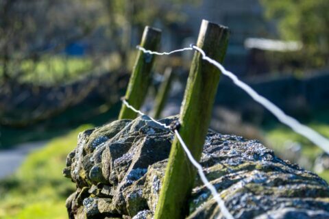 Progressive reflections on the lectionary #85
