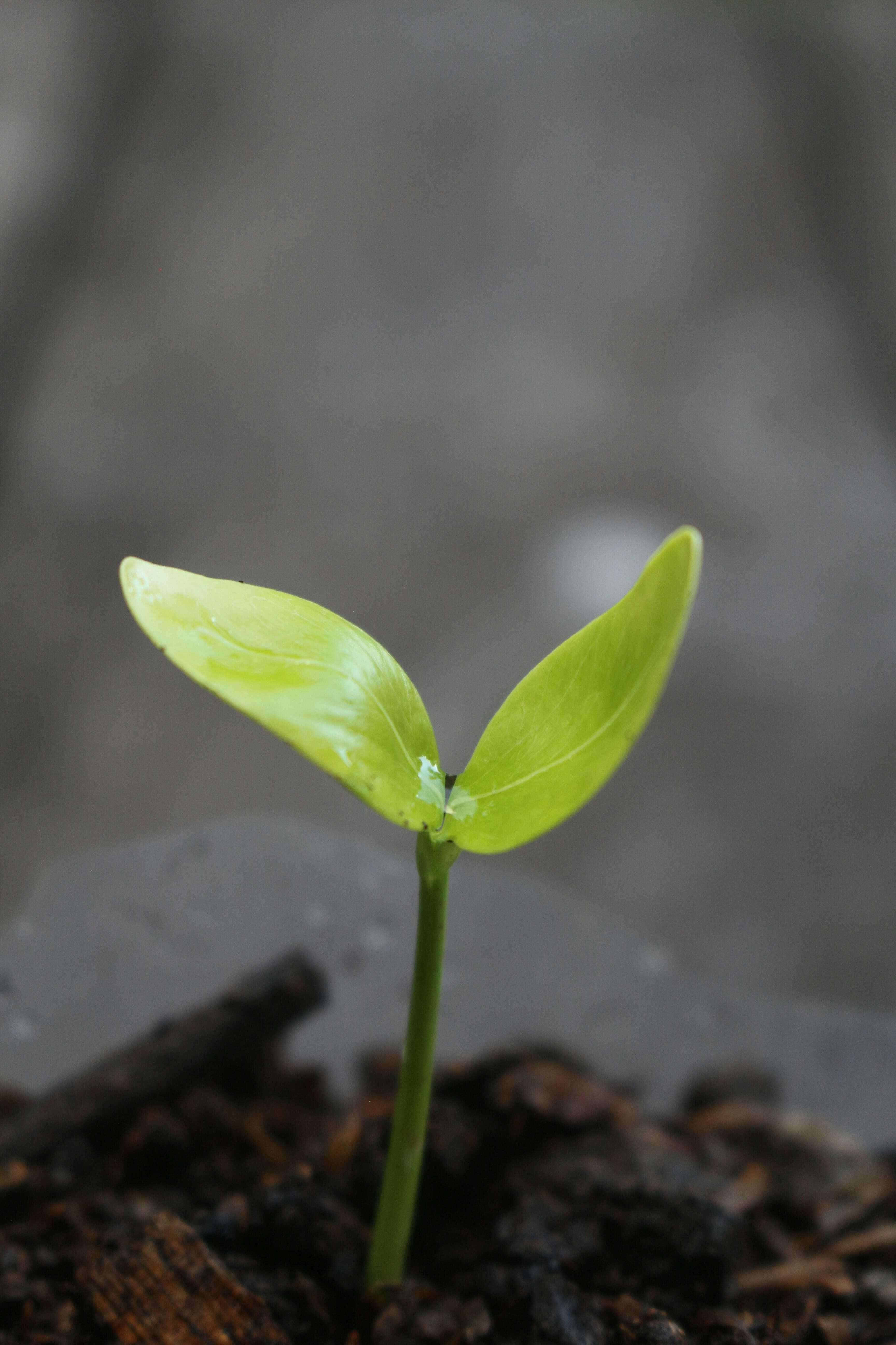 Progressive reflections on the lectionary #84